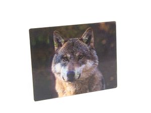 3 D Magnet Wolf, 9 x 7 cm, Tiere Waldtier, Kühlschrankmagnete Tier Wölfe