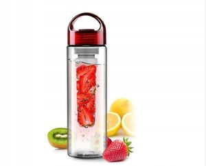 Wasserflasche mit Fruchteinsatz, Eis Trinkflasche Wasserflasche Getränkeflasche