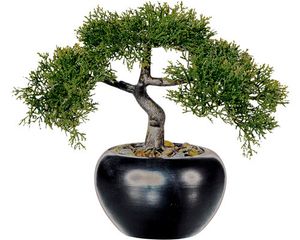 Kunstpflanze Bonsai Zeder Höhe: 26 cm grün
