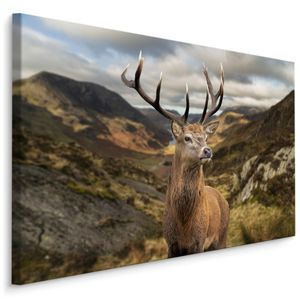 Fabelhaftes Canvas LEINWAND BILDER 120x80 cm XXL Kunstdruck Berge Landschaft Hirsch