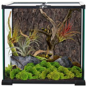 Glasterrarium Repti Planet 30x30x30 cm