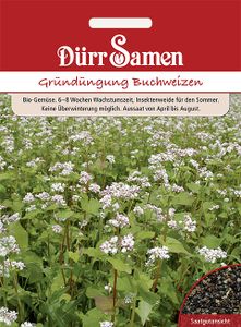 Dürr-Samen - Gründüngung Buchweizen 50 g - Saatgut - 4058