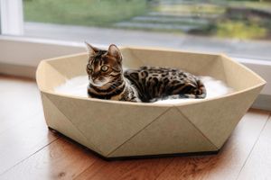 Katzenkorb Zoey aus Filz - beige - Designbett für Katzen