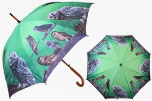 1 Regenschirm Eulen, Automatikschirme Stockschirme Schirm Schirme Eule Uhu Vögel Tiere