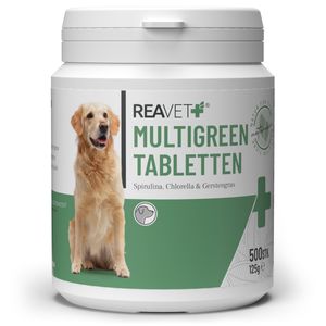REAVET MultiGreen Tabletten für Hunde 500 Stück – Mikroalge unterstützt Haut & Fell -Immunsystem, Stoffwechselprozesse & Abwehrsystem, Vitamine & Mineralstoffe