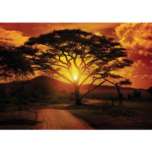 Fototapete Sonnenuntergang Tapete Sonnenuntergang Baum Weg Afrika Giraffe Romantik orange | no. 284, Größe:300x280 cm, Material:Fototapete Vlies - PREMIUM PLUS