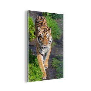 Glasbild Wandbild auf Glas 60x90 cm Wandkunst Tiger - Gras - Tiere MuchoWow