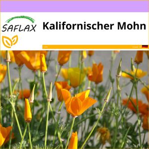 SAFLAX - Kalifornischer Mohn - Eschscholzia californica - 1500 Samen