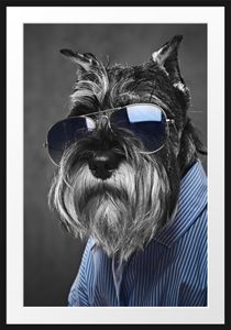 Lustiger Hund mit Hemd und Sonnenbrille B&W DetailBilderrahmen mit Galerie-Passepartout / Format: 100x70cm / gerahmt / hochwertige Leinwandbild Alternative