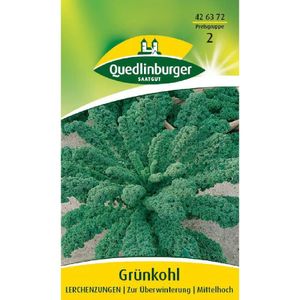 Quedlinburger Saatgut - Grünkohl Lerchenzungen - Samen - 426372