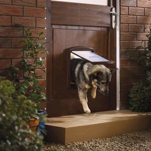 PetSafe Pet Door 2-Way 755 Średni rozmiar 26,7x22,8 cm Brązowy