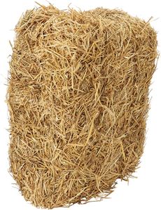 Dehner Strohballen, zur Fütterung oder als Einstreu, staubarm/geruchsbindend, 7 kg
