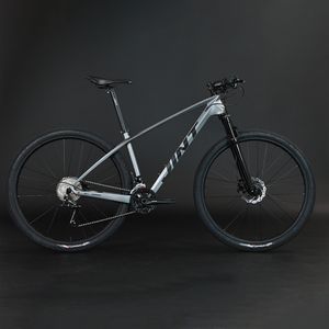 360Home Carbon Rahmen Mountainbike Fahrrad Bike 29Zoll 27speed Grau