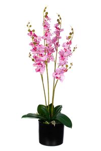Alle Orchideen kunstblumen weiß auf einen Blick