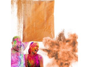 Holi práškové farby Slávnostný prášok 100G Orange
