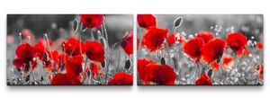 Rote Mohnblumen im Feld Wandbild in verschiedenen Größen 2x50x90cm