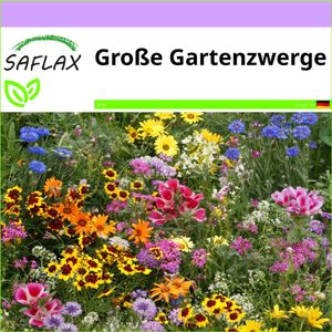 SAFLAX - Wildblumen: Große Gartenzwerge - 1000 Samen - 20 Sorten