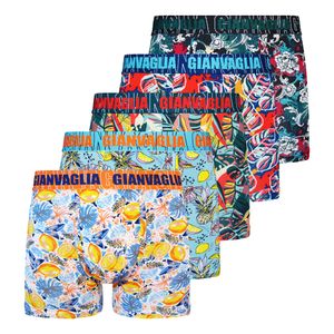 Texemp | 5er  | 10er Pack Herren Boxershorts Unterwäsche Baumwolle Short Boxer Unterhose  Retro Motiv | XL | 10 Stk.