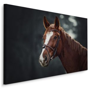 Fabelhafte Canvas LEINWAND BILDER 90x60 cm XXL Kunstdruck Natur Pferd Wald Bäume