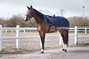 EQUITHÈME „TYREX 600 D“ Nierendecke marieneblau/grau.155