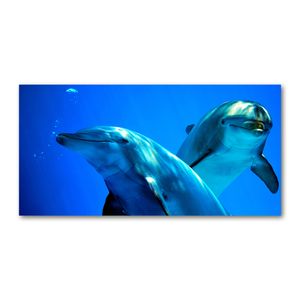 Tulup® Acrylglas - 140 x 70 cm - Bild auf Plexiglas Acrylglas Bild - Dekorative Wand für Küche & Wohnzimmer - Tiere - Zwei Delfine - Blau