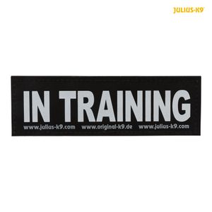 IN TRAINING - Logo groß, 1 Paar!