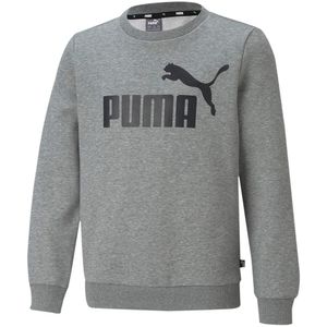 günstig online Puma Sweatshirts kaufen