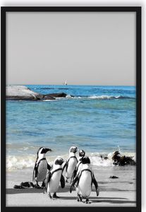 lustige Pinguine am Strand Poster im Bilderrahmen / Format: 100x70cm / Kunstdruck gerahmt