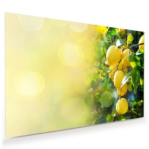 Glasbild Wandbild Zitronen im Sonnenlicht 45x30cm in XXL für Wohnzimmer, Schlafzimmer, Badezimmer, Flur