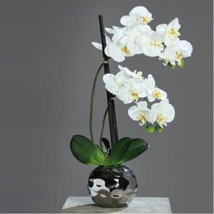 künstliche Orchidee REAL TOUCH in silbernem Keramiktopf 50cm creme weiß DPI