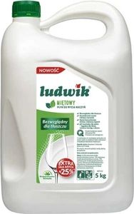 Ludwik, Płyn do mycia naczyń Mięta, 5 l