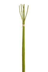 Jemný Bambus Vo Zväzkoch 6 Ks Zelený