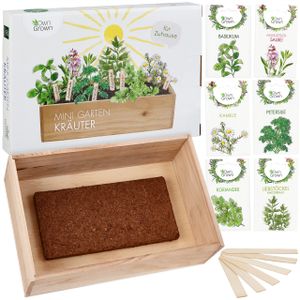 Owngrown Garten Saatgut Anzuchtset Mit Holzkiste Und 8 Sorten Pflanzen Samen Kinder Anzuchtset, Kinder Set