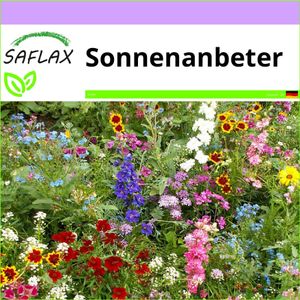 SAFLAX - Wildblumen: Sonnenanbeter - 1000 Samen - 17 Sorten