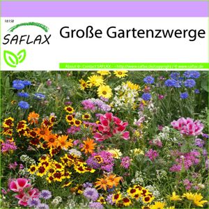 SAFLAX - Wildblumen: Große Gartenzwerge - 1000 Samen - 20 Wildflower Mix