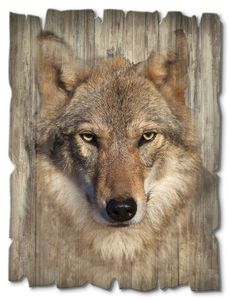 ARTland Holzbild Vintage Wolf Größe: 30x40 cm