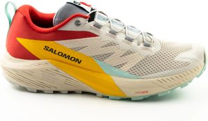 Buty męskie Salomon Sense Ride 5 do biegania w terenie 44 2/3