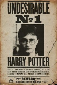 Harry Potter Poster Undesirable No. 1 91,5 x 61 cm
