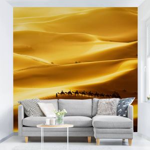 Fototapete Wüste - Golden Dunes - Vliestapete Quadrat, Größe HxB:336cm x 336cm