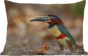 MuchoWow® Outdoor Kissen - Vogel - Tukan - Federn - Natur - 60x40 cm - Wetterfest - Lounge Kissen - Zierkissen - Kissen für Innenräume