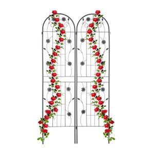 relaxdays Rankgitter 2er Set 200 cm