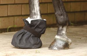 Hufverbandschutz, L, schwarz Hufverbandschutz, L, schwarz