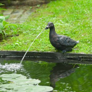 Prolenta Premium Ubbink Wasserspeier Ente