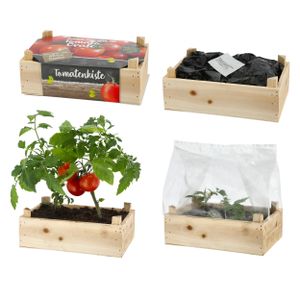 Tomaten Anzuchtset - All inklusiv in toller Holzkiste - DIY Gewächshaus - Samen, Kokoserde, Gewächshaus // Geschenkidee für Hobby Gärtner