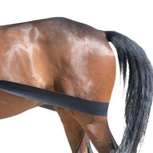 Equest Körper Bandage, schwarz - Trainingshilfsmittel für Pferde, M