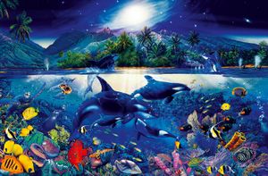 Wandbild Poster Unterwasser Schwertwale