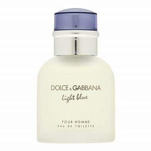 Dolce & Gabbana Light Blue Pour Homme eau de Toilette für Herren 40 ml