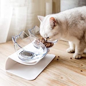 Katzennäpfe, Doppelte Keramik-Tiernäpfe mit 15° geneigtem Erhöht Katzennäpfe Standfuß für Futter und Wasser, Katzenfutterstationen Perfekt für Welpen, Katzen und kleine Hunde(Doppelnapf)