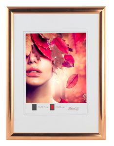 Art Line Kunststoff Bilderrahmen A4 bis 50x70 Fotorahmen A3 Bildträger Lifestyle Farbe: Rose Gold | Format: 21x29,7 (DIN A4)