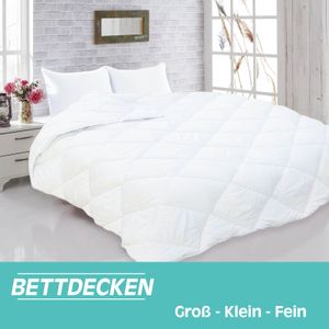 Kombibett 4Jahreszeiten 2 Bettdecken mit Noppen verbunden Soft Dream 200x200 cm 